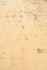 Image showing sand