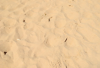 Image showing sand