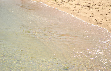 Image showing sea shore