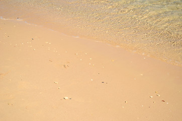 Image showing sea shore