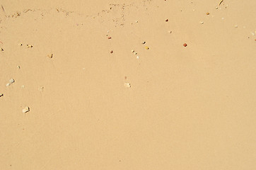 Image showing wet sand