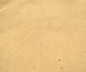 Image showing wet sand