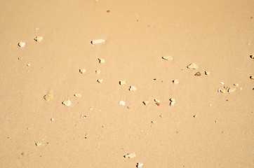 Image showing wet sand