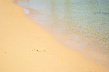 Image showing sea shore