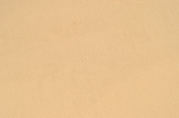 Image showing wet sand