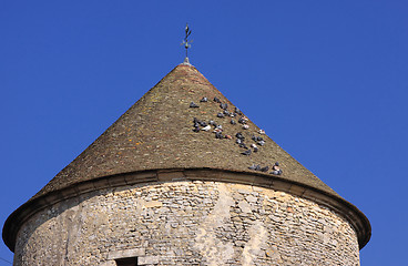 Image showing pigeons on a roof resting on a beautiful spring day