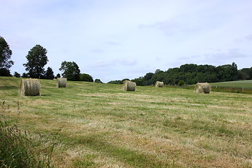 Image showing rural landscape, bales of hay in a field in spring