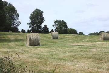 Image showing rural landscape, bales of hay in a field in spring