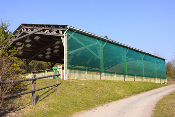 Image showing great riding horse with mesh against the wind