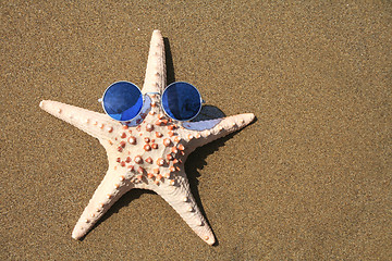 Image showing Groovy Starfish