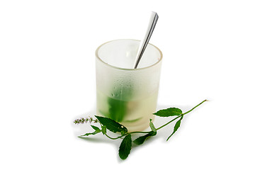 Image showing peppermint tea