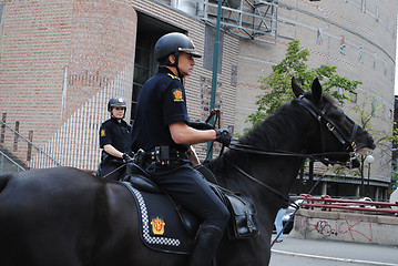 Image showing Police horses