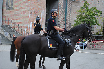 Image showing Norwegian police