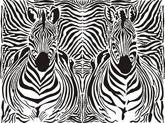 Image showing Zebra pattern background 