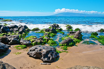 Image showing Rocks, and Pacific ocean waves on the island of Maui