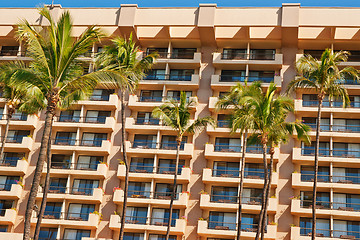Image showing palm trees in front of a tropical hotel in Maui 
