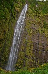 Image showing Waimoku Falls in Maui Hawaii