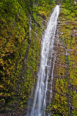 Image showing Waimoku Falls in Maui Hawaii