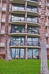Image showing palm trees in front of a tropical hotel in Big Island Hawai