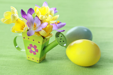 Image showing Beautiful Crocuses for Easter