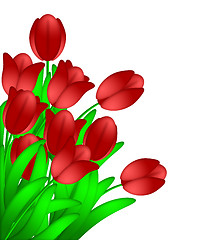 Image showing Bunch of Red Tulips Flowers Isolated on White Background