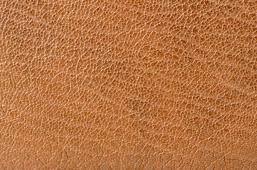 Image showing Leather texture 