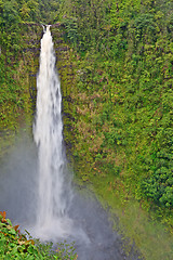 Image showing Akaka Falls, Big Island, Hawaii