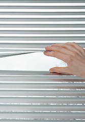 Image showing Hand opening venetian blinds for peeking