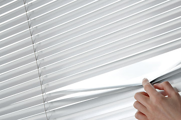 Image showing Female hand opening venetian blinds with a finger