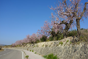 Image showing Spanish winter 