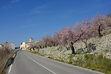 Image showing Fageca village