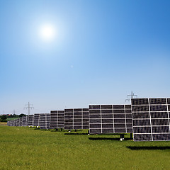 Image showing solar plants in the rows