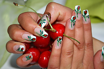 Image showing  female hands with manicure 