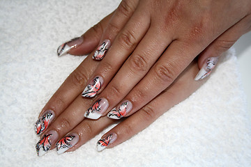 Image showing flower manicure