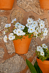 Image showing Wall with flowers