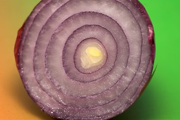 Image showing onions