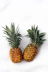 Image showing ananas on snow