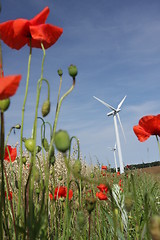 Image showing electricity wind mills