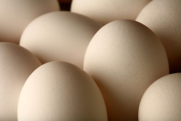 Image showing eggs