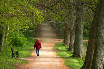 Image showing trees in a park