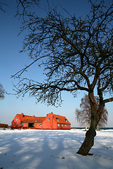 Image showing old farm on danish east  coast 