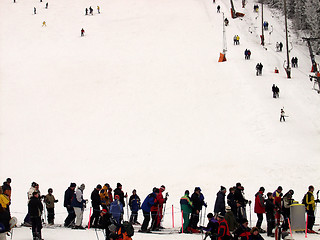 Image showing skiing