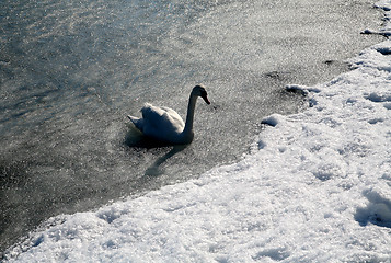 Image showing winter in denmark