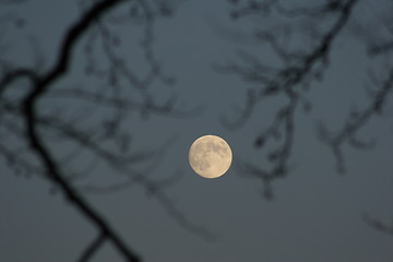 Image showing Moon in the sky