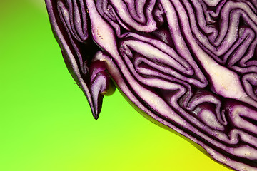 Image showing Red cabbage