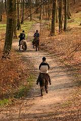 Image showing riding horses