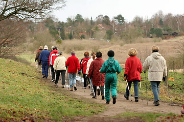 Image showing group in the forest