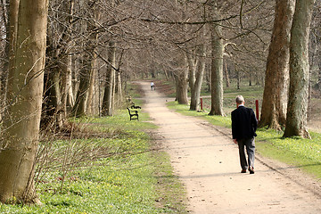 Image showing bench