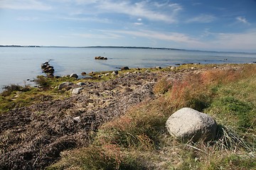 Image showing danish landscape01