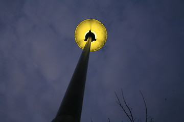 Image showing Street lamps in Venice